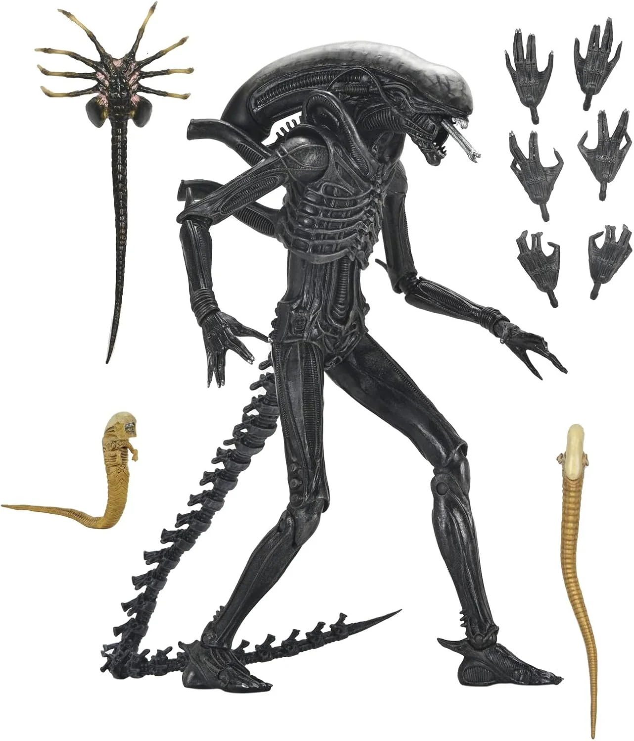 ALIEN ROMULUS: XENOMORPH (7") - NECA-ULTIMATE - Image 4