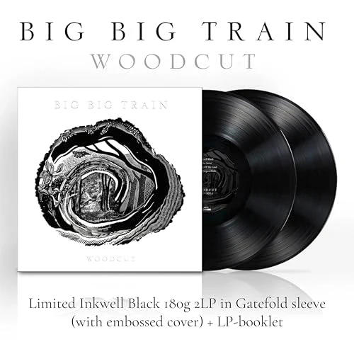 BIG BIG TRAIN - WOODCUT (LIMITED INKWELL BLACK VINYL)