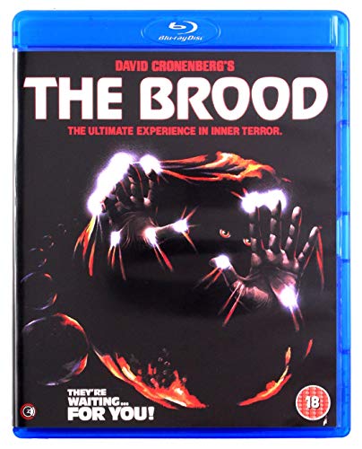 BROOD - BLU-REGION B