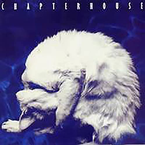 CHAPTERHOUSE - WHIRLPOOL (MISPRESS)