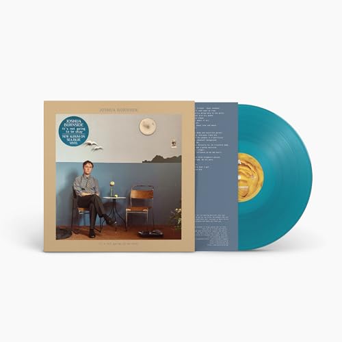 JOSHUA BURNSIDE - IT'S NOT GOING TO BE OKAY (VINYL)