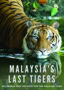 MALAYSIA'S LAST TIGERS [DVD]