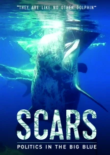 SCARS [DVD]