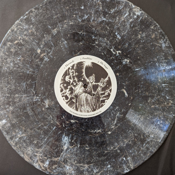 Shades - In Praise Of Darkness (Smoky Swirl) (Sealed) (Used LP) - Image 3