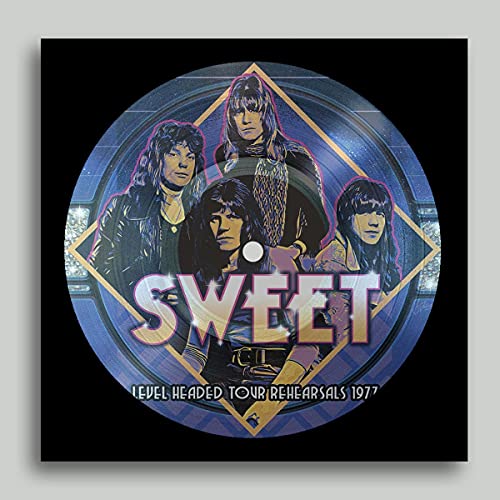 THE SWEET - LEVEL HEADED TOUR REHEARSALS 1977 (PICTURE DISC) (VINYL)