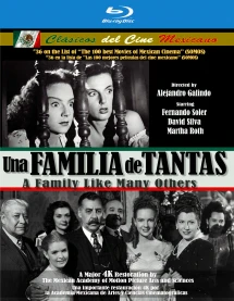 UNA FAMILIA DE TANTAS (A FAMILY LIKE MANY OTHERS) [BLU-RAY]