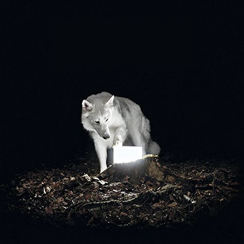 VANISHING LIFE - SURVEILLANCE (VINYL)