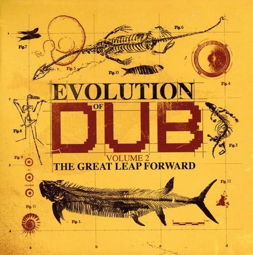 VARIOUS - EVOLUTION OF DUB VOL.2: GREAT LEAP FORWA